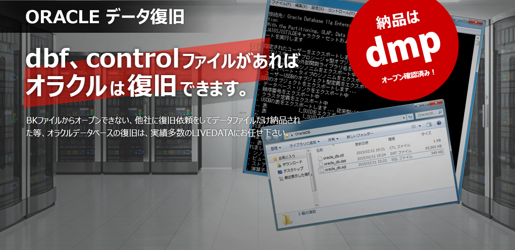 ORACLEのデータ復旧　BKファイルからオープンできないデータファイルだけ納品された。オラクルを開く状態で納品します。