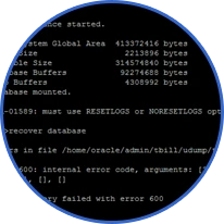 Oracle Database 11g Enterprise Edition 11.2.0.4.0 64bit Production - SQL CLI 環境で select count(*) クエリでテーブルデータ 417362件復旧検証画面