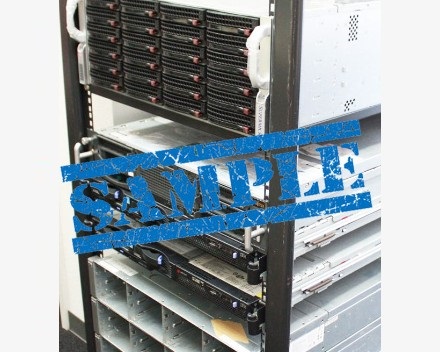 IBM X346 DS400
