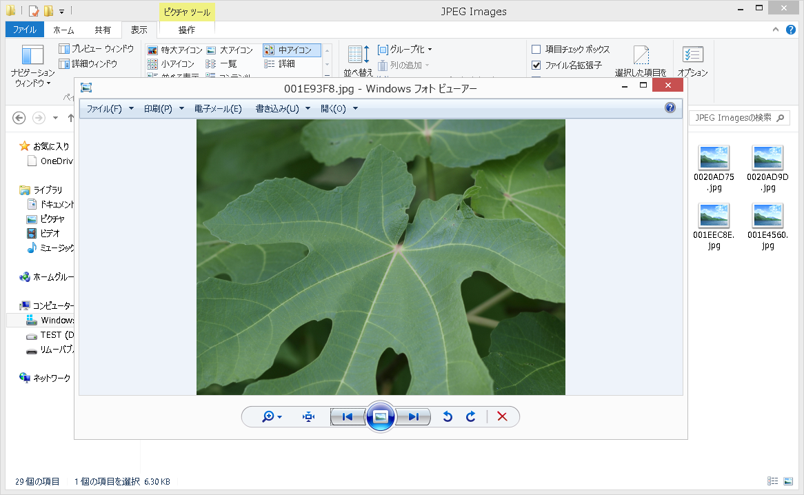 保存したファイルが正常に開けることを確認