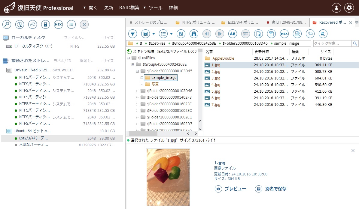 LostFilesフォルダに含まれる削除データ