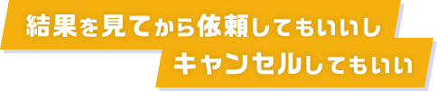 結果を見てから依頼してもいいしキャンセルしてもいい