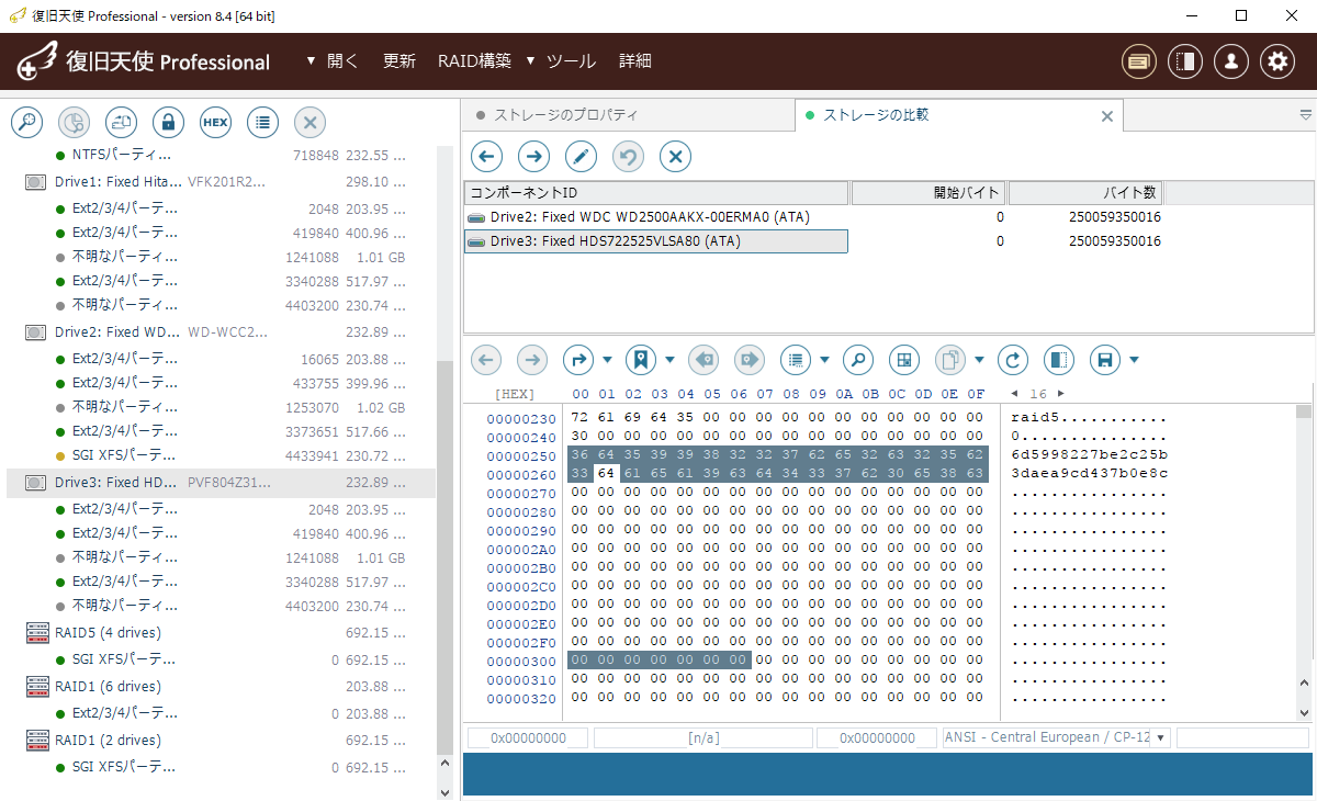 RAID分析ツール