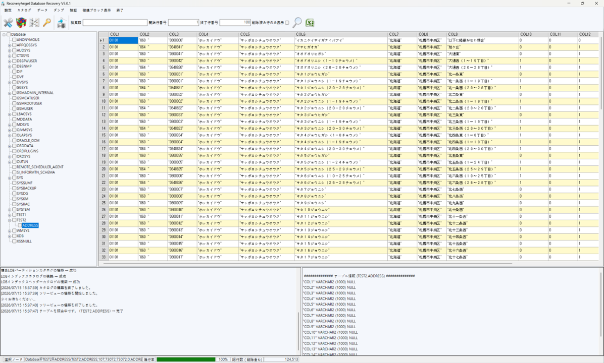DATABASE RECOVERY テーブルデータ照会画面