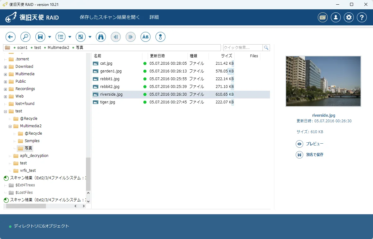 復旧天使RAID ファイルプレビュー4段階 - NAS動画ファイルプレビューと復旧対象の確認